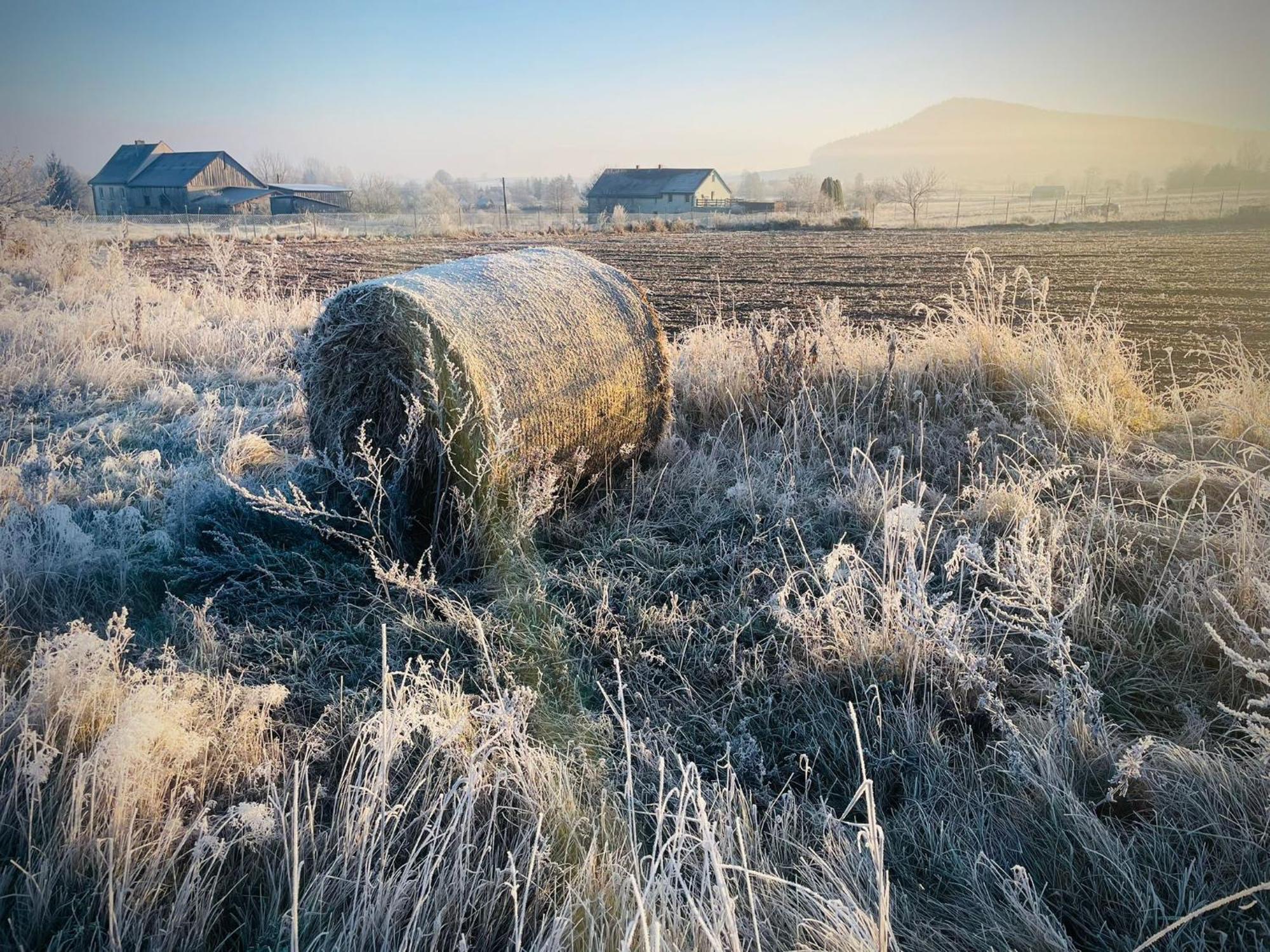 Wataha Pod Basztami - Wadera - Domki Caloroczne Radkow Esterno foto