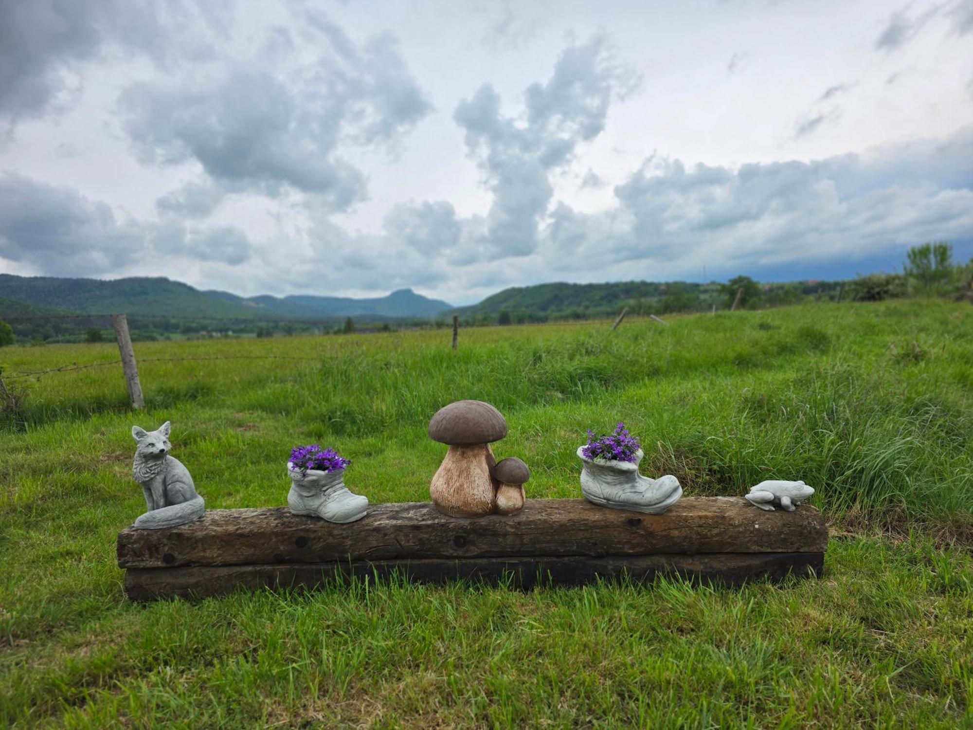 Wataha Pod Basztami - Wadera - Domki Caloroczne Radkow Esterno foto